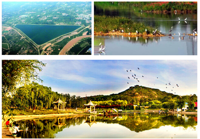 【濟南】項目 :海信地產成功獲取天橋區281畝土地 深耕濟南再下一子