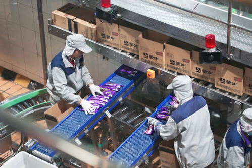 蒙牛乳業(yè)攜手馬鞍山，驅(qū)動綠色食品產(chǎn)業(yè)邁向新征程